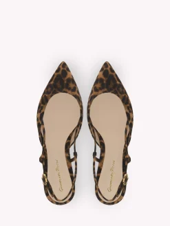Gianvito Rossi Flats-ASCENT 05 LEOPARD PRINT