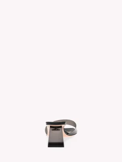 Gianvito Rossi Mules|Plexi-COSMIC BLACK