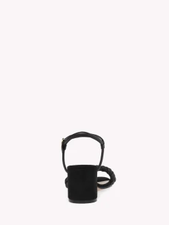 Gianvito Rossi Sandals-CRUZ 60 BLACK