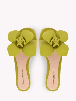 Gianvito Rossi Flats-LUCILLA 05 GREEN