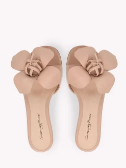 Gianvito Rossi Flats-LUCILLA 05 PINK