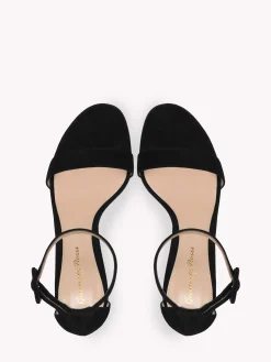 Gianvito Rossi Sandals-PORTOFINO 70 BLACK SUEDE