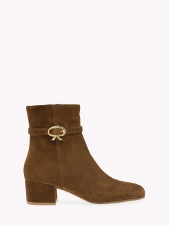 Gianvito Rossi Booties|Ribbon-RIBBON BOOTIE BROWN