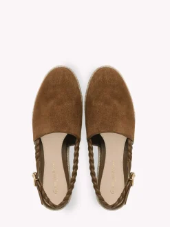 Gianvito Rossi Flats-TOLEDO DARK BROWN