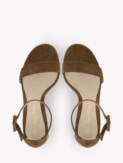 Gianvito Rossi Sandals-VERSILIA 60 BROWN
