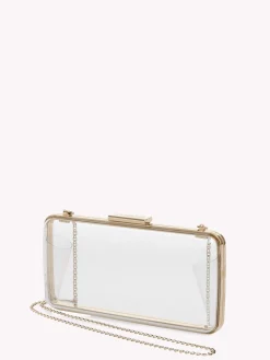 Gianvito Rossi Bags|Plexi-VETRA SILVER