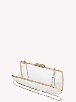 Gianvito Rossi Bags|Plexi-VETRA SILVER